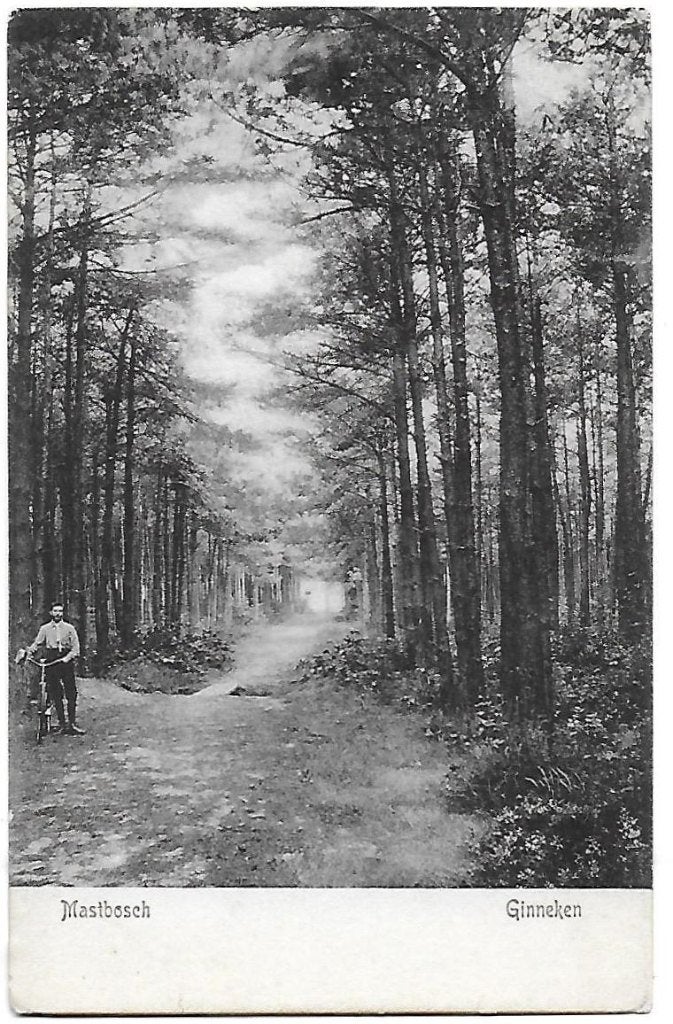 Ginneken Mastbosch Oude Ongelopen ansichtkaart ( B882 ), Ophalen of Verzenden, 1920 tot 1940, Gelopen