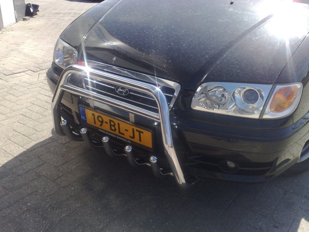 Hyundai Trajet Pushbar Bullbar, Niet ingevuld, Niet ingevuld, Niet ingevuld