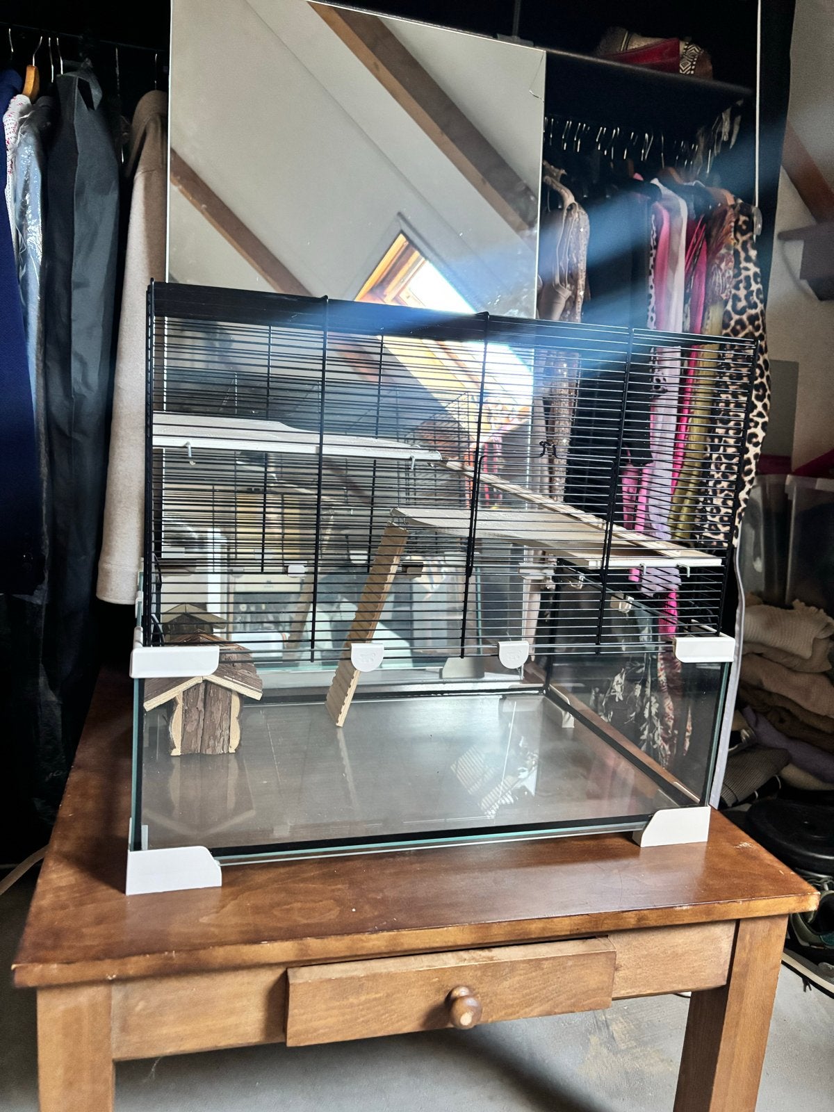 Hamsterkooi + transportbakje, huisje en extra’s, Dieren en Toebehoren, Knaagdieren en Konijnen | Hokken en Kooien, Kooi, Minder dan 75 cm