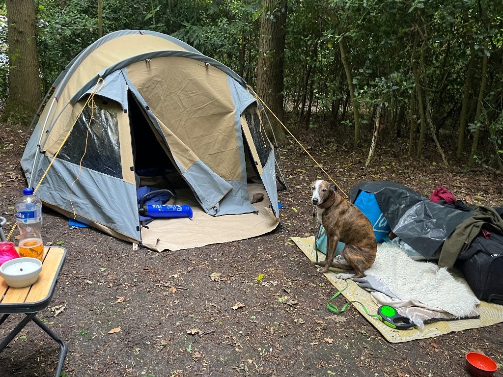Tent 2/3 personen, bijna nieuw!, Ophalen, Zo goed als nieuw, Tot en met 4
