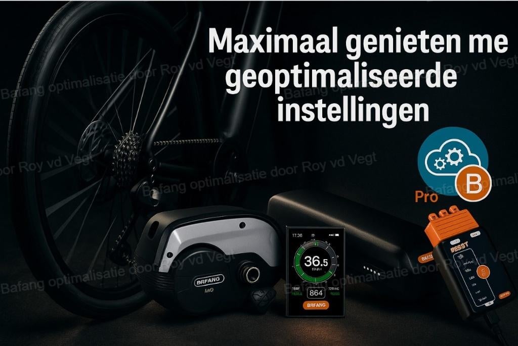 Ebike met Bafang midden motor opvoeren en optimaliseren, Fietsen en Brommers, Elektrische fietsen, Ophalen, Nieuw, Overige merken