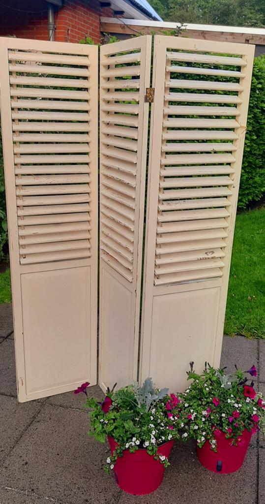 Cremehouten Louvre Deuren Drieluik met gratis bloemen, Ophalen of Verzenden
