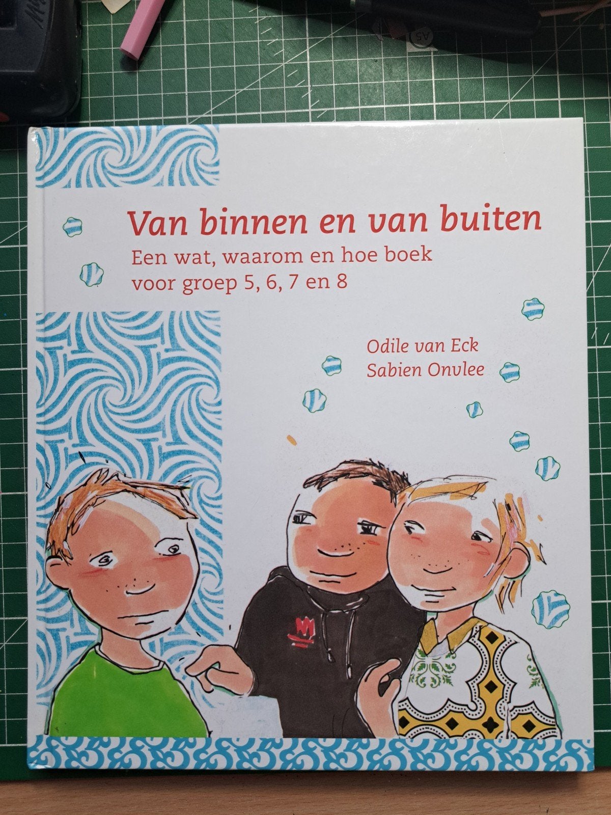 Odile van Eck - Van binnen en van buiten, Odile van Eck; Sabien Onvlee, Ophalen of Verzenden, Zo goed als nieuw, Nederlands