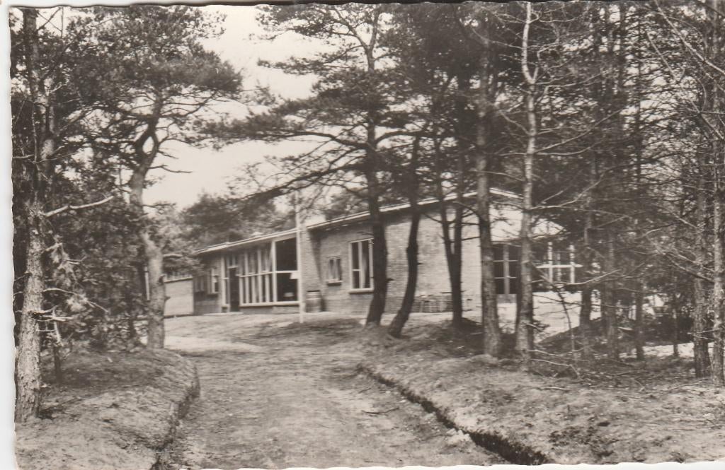 ermelo- de driehoek, Ophalen of Verzenden, 1940 tot 1960, Gelderland