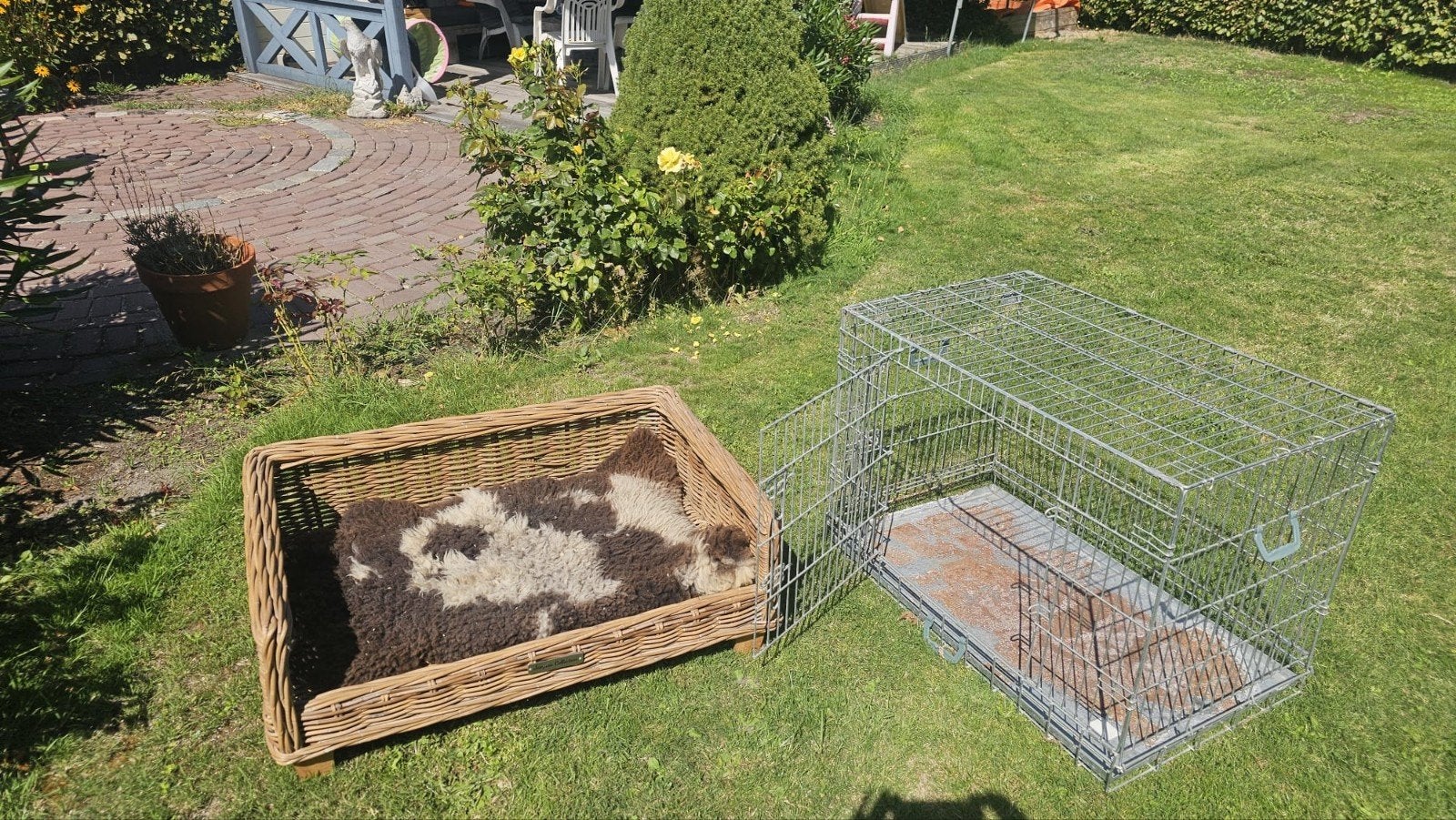 Hondenbench + hondenmand, Ophalen, Gebruikt