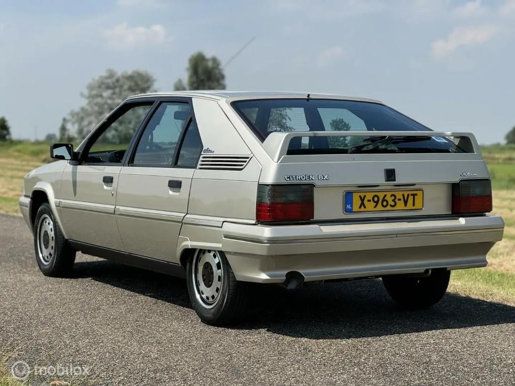 Citroën Citroen 1992 Bruin, Voorwielaandrijving, Zwart, 1600 cc, BX