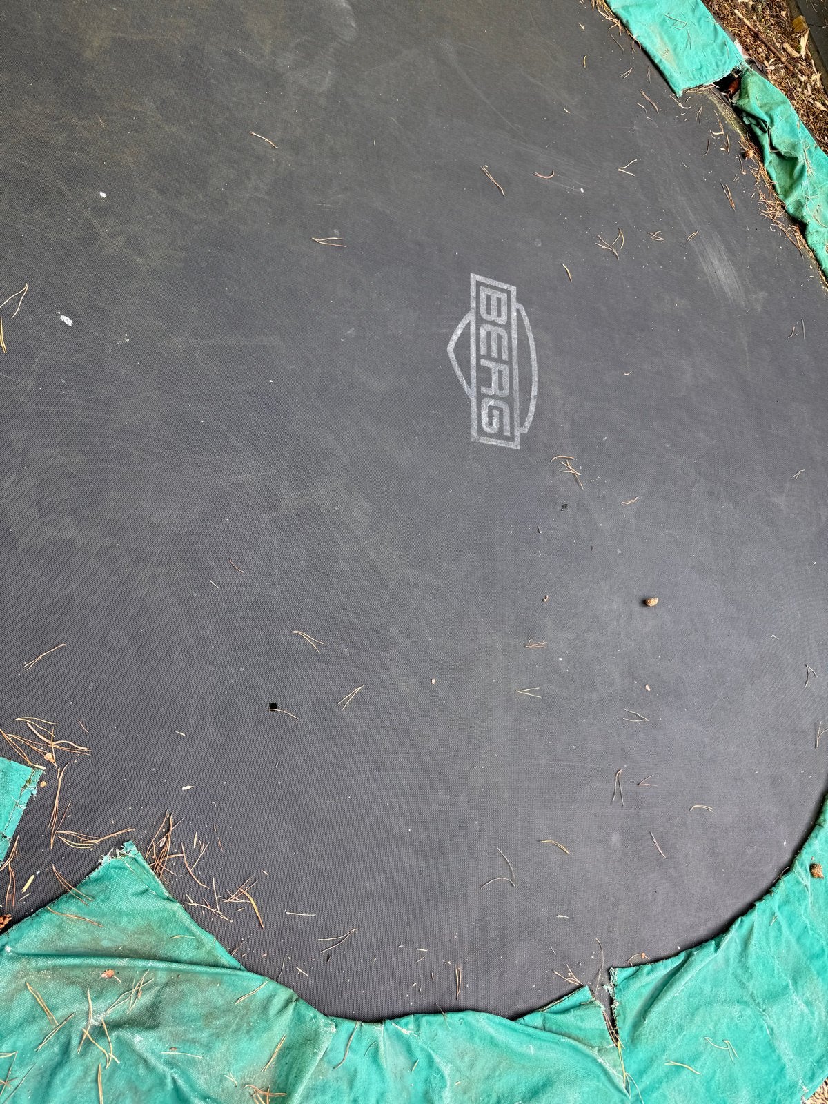 BERG Trampoline (inground) - Gebruikt, Ophalen, Gebruikt