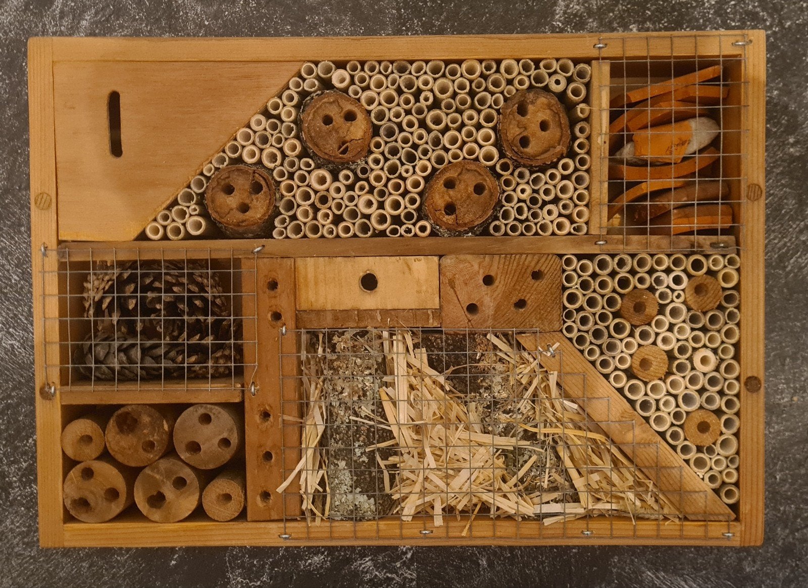 insectenhotel, Ophalen of Verzenden, Nieuw