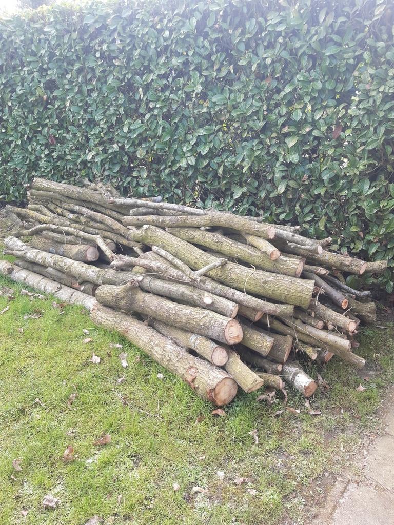 Brandhout: Takken en Stammen voor uw Kachel of Vuurkorf, Minder dan 3 m³, Ophalen, Overige houtsoorten, Takken