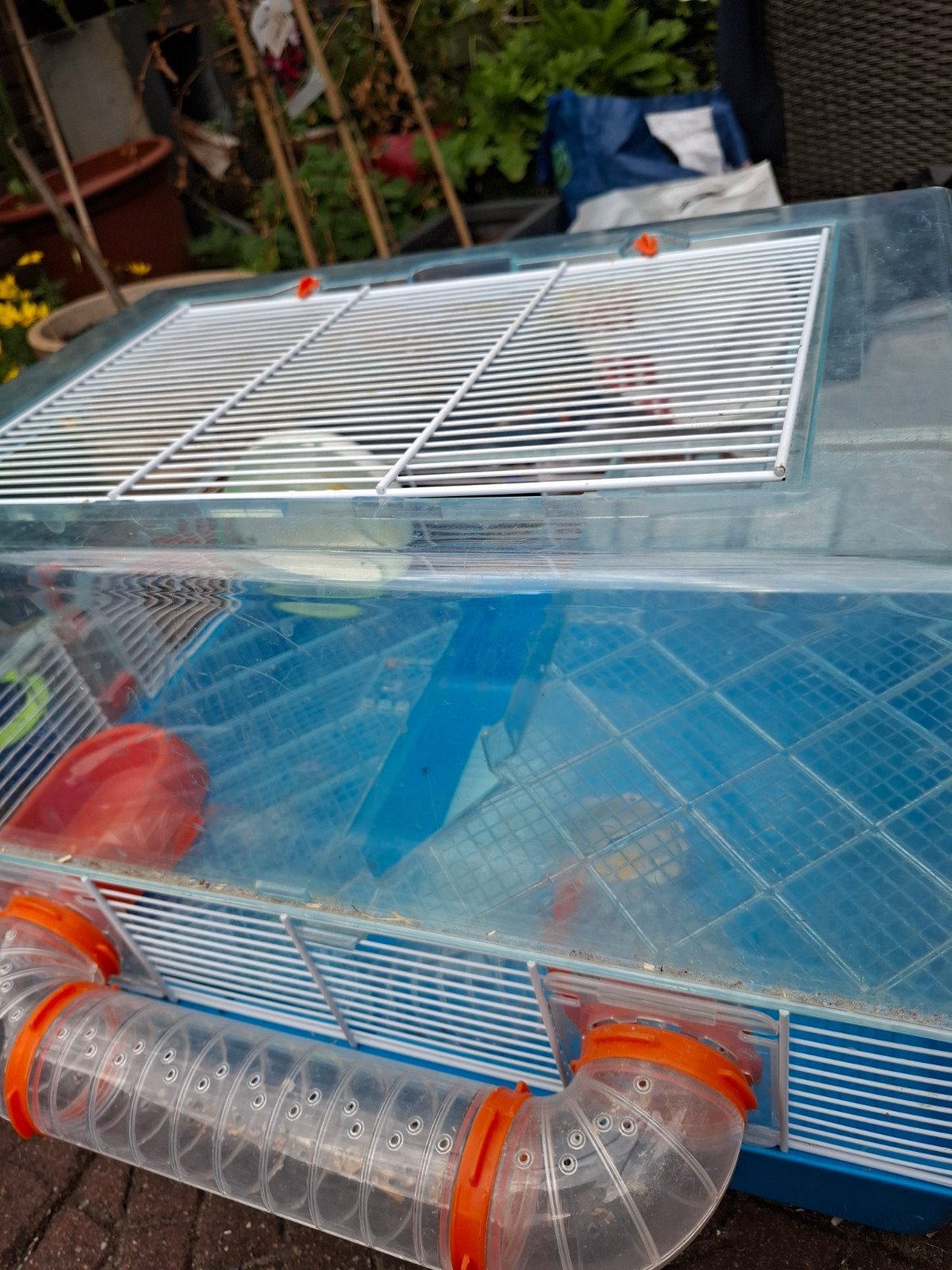 hamster kooi plus vervoersboks plus iglo en snacks, Dieren en Toebehoren, Kooi, Gebruikt, Minder dan 75 cm, Hamster