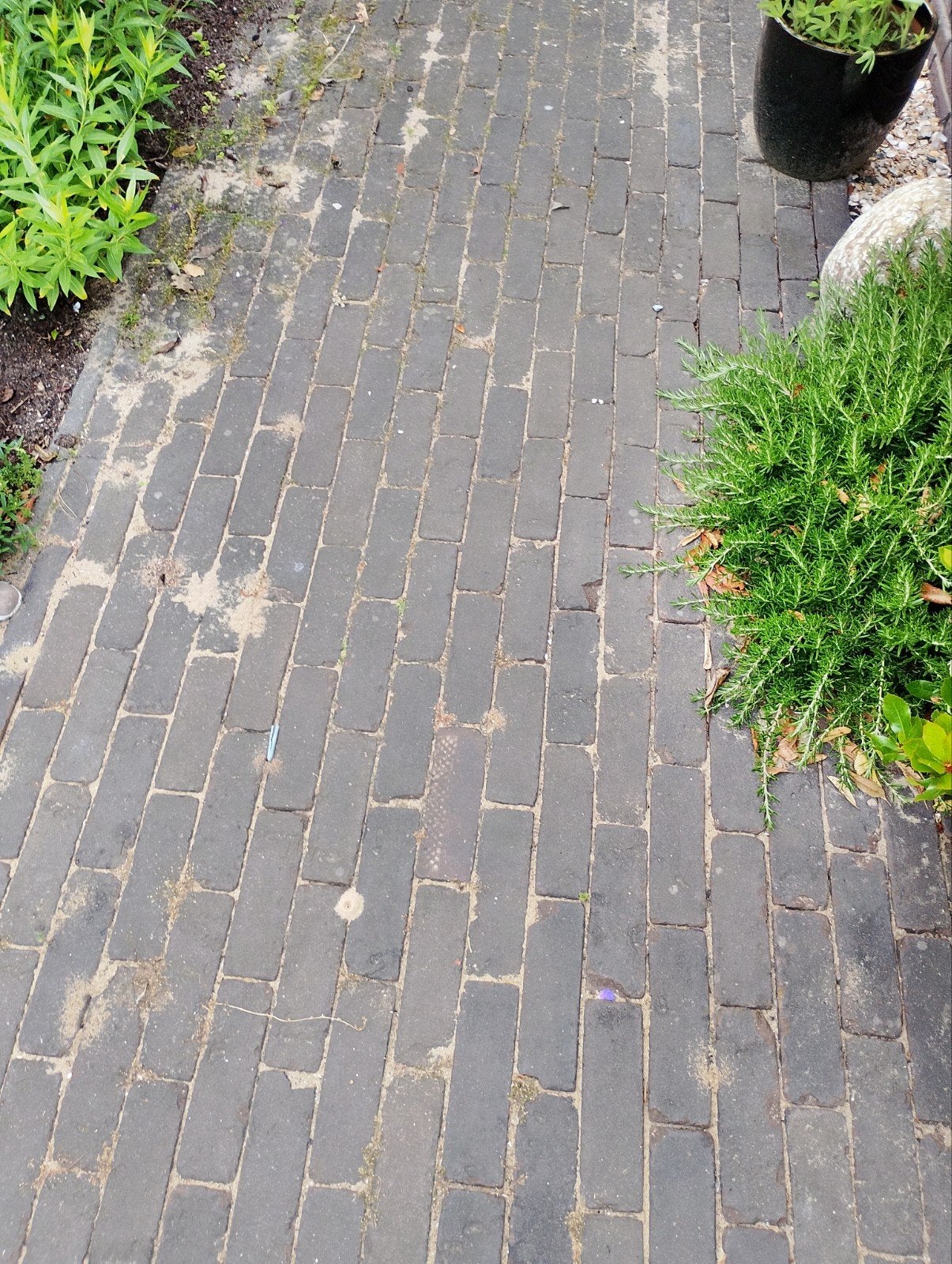 Gratis 24 m2 gebakken, waalformaat klinkers, Ophalen, Beton, Klinkers