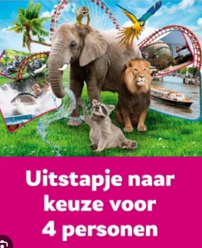 2 kaartjes/tickets uitstapje naar keuze, Drie personen of meer, Ticket of Toegangskaart
