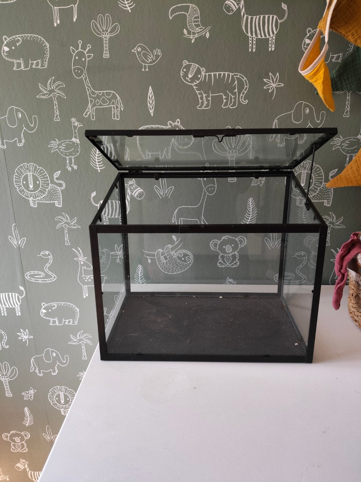 Glazen Terrarium/kasje/Display Box - Zwart Metaal, Ophalen, Modern, Glas, Gebruikt
