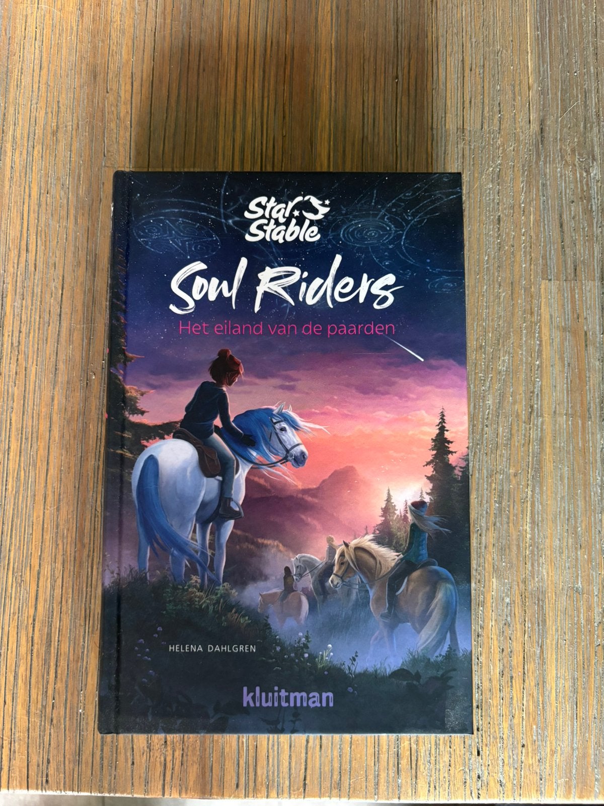Star stable boek, Ophalen of Verzenden, Zo goed als nieuw