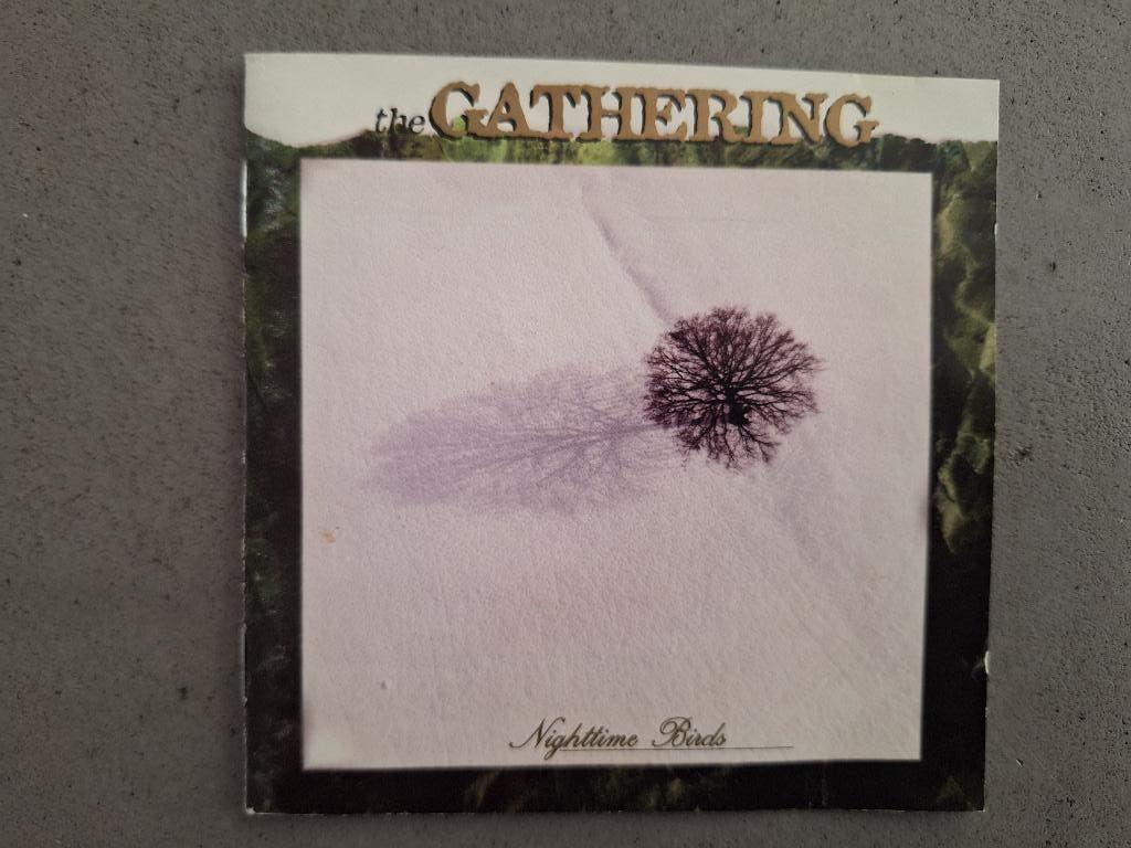 The Gathering - Nighttime Birds, Ophalen of Verzenden, Gebruikt