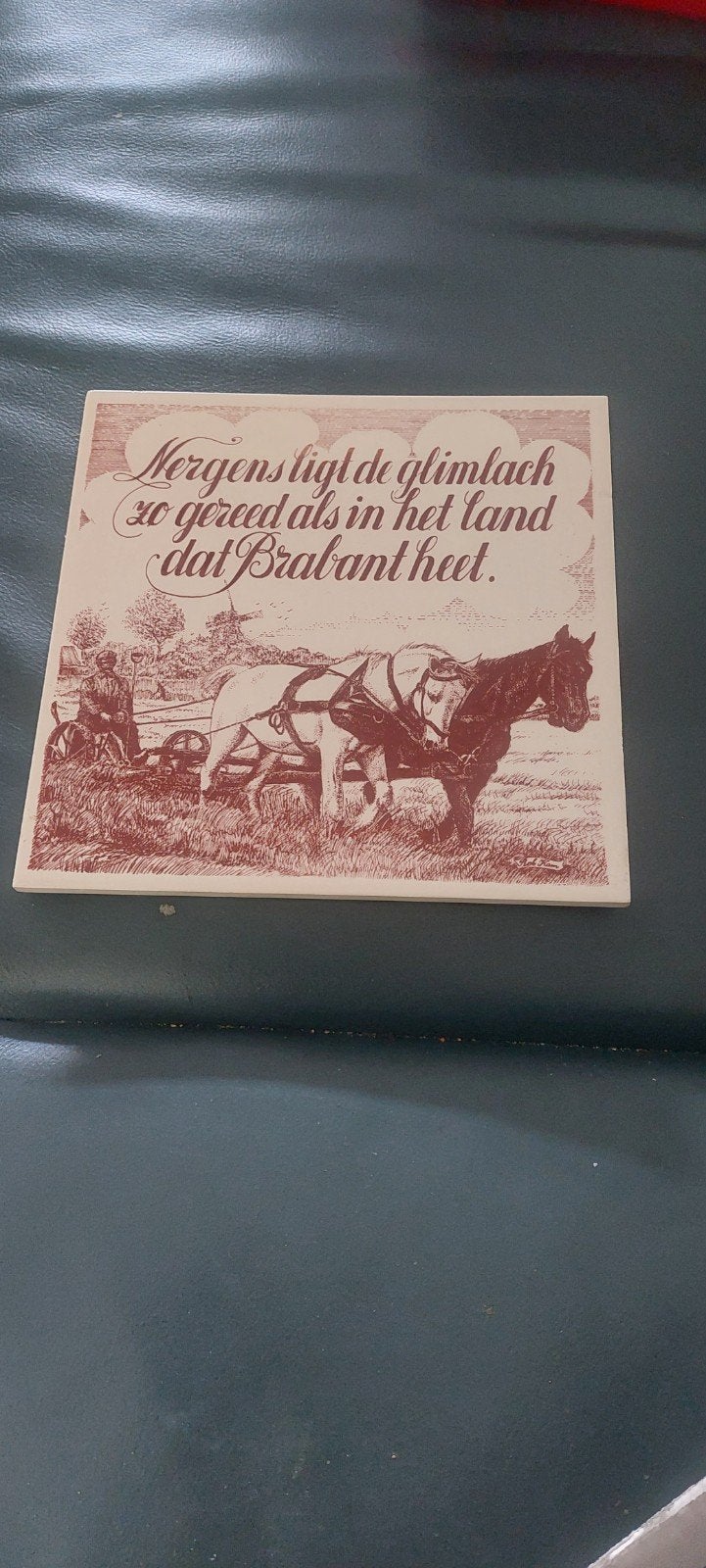 18 tegels met spreuken, Ophalen of Verzenden