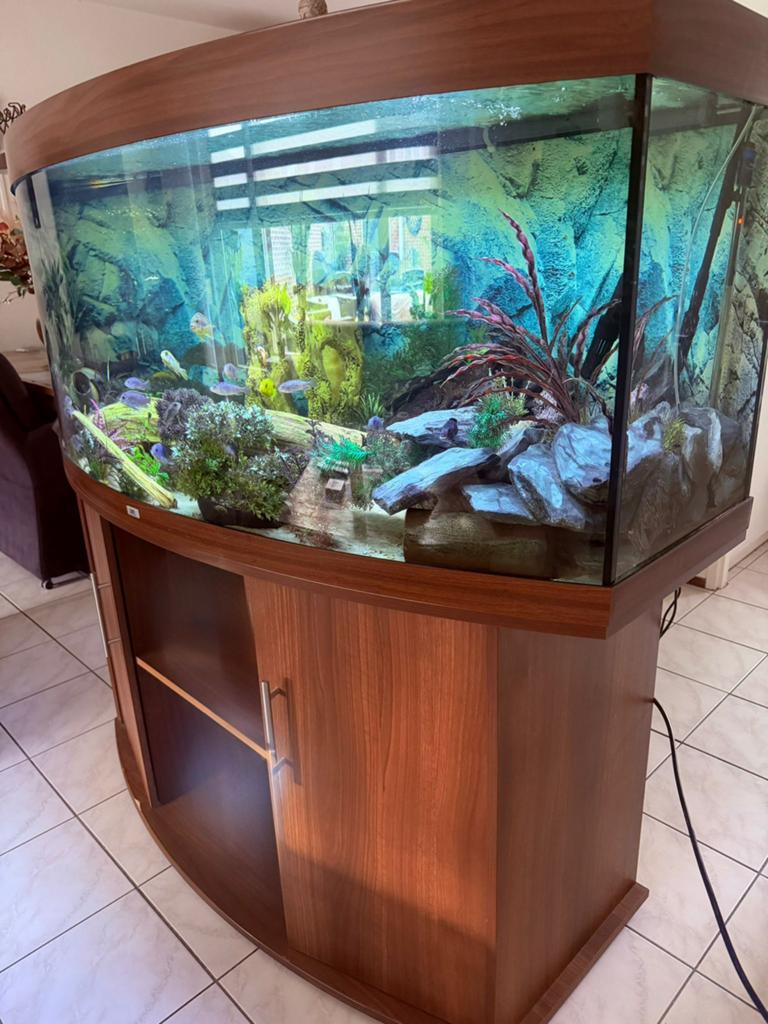 Aquarium met visse, Ophalen of Verzenden, Zo goed als nieuw, Gevuld zoetwateraquarium
