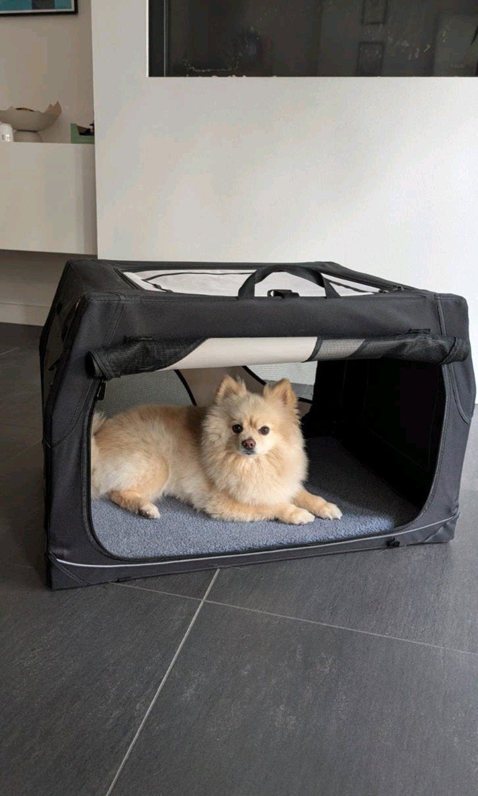 Trixie Hondenbox Vario - nieuw, Dieren en Toebehoren, Hondenbenches, Ophalen