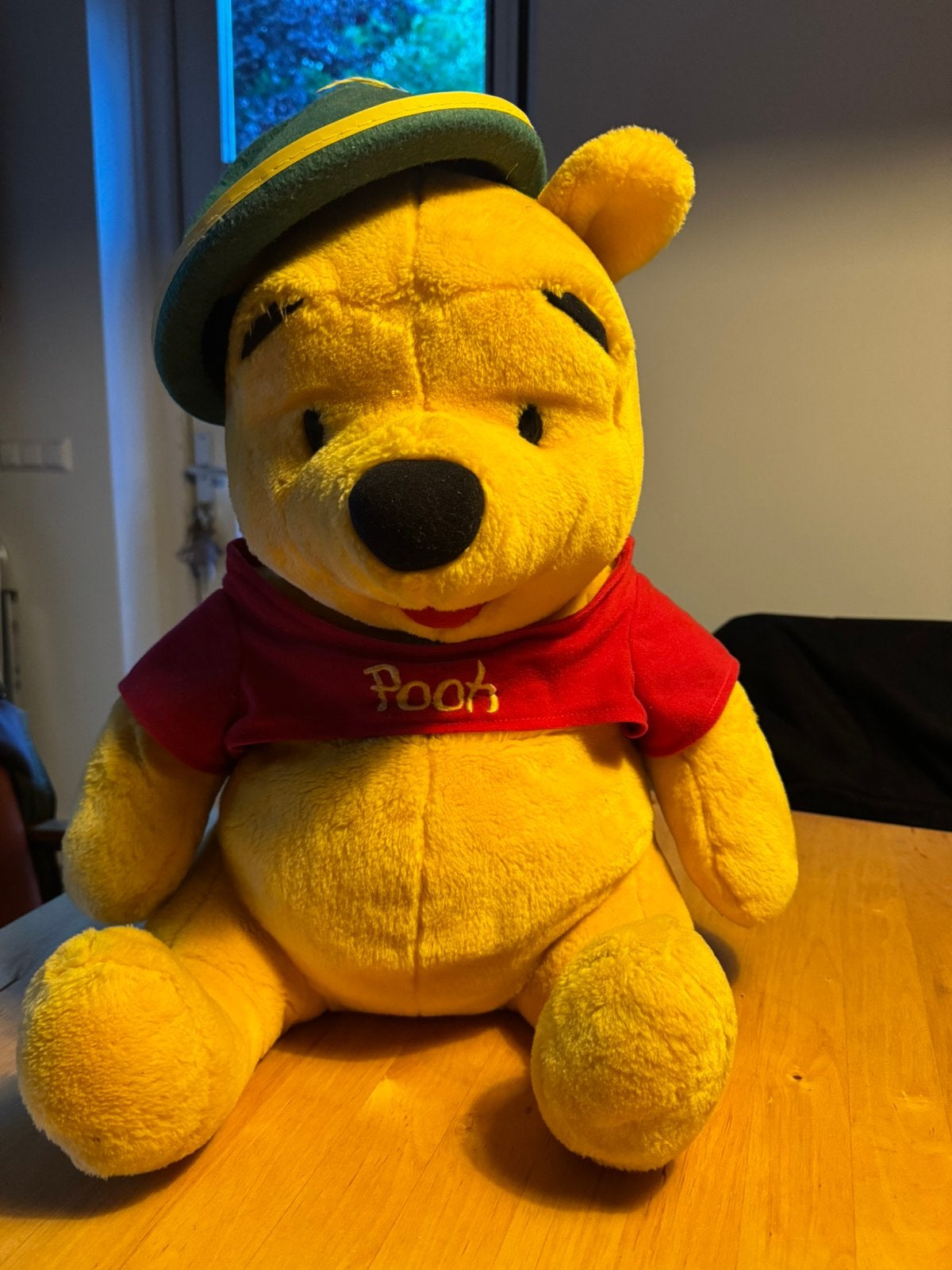Winnie de Pooh groot, Gebruikt, Beer, Ophalen of Verzenden, Middelgroot (20 tot 80 cm)