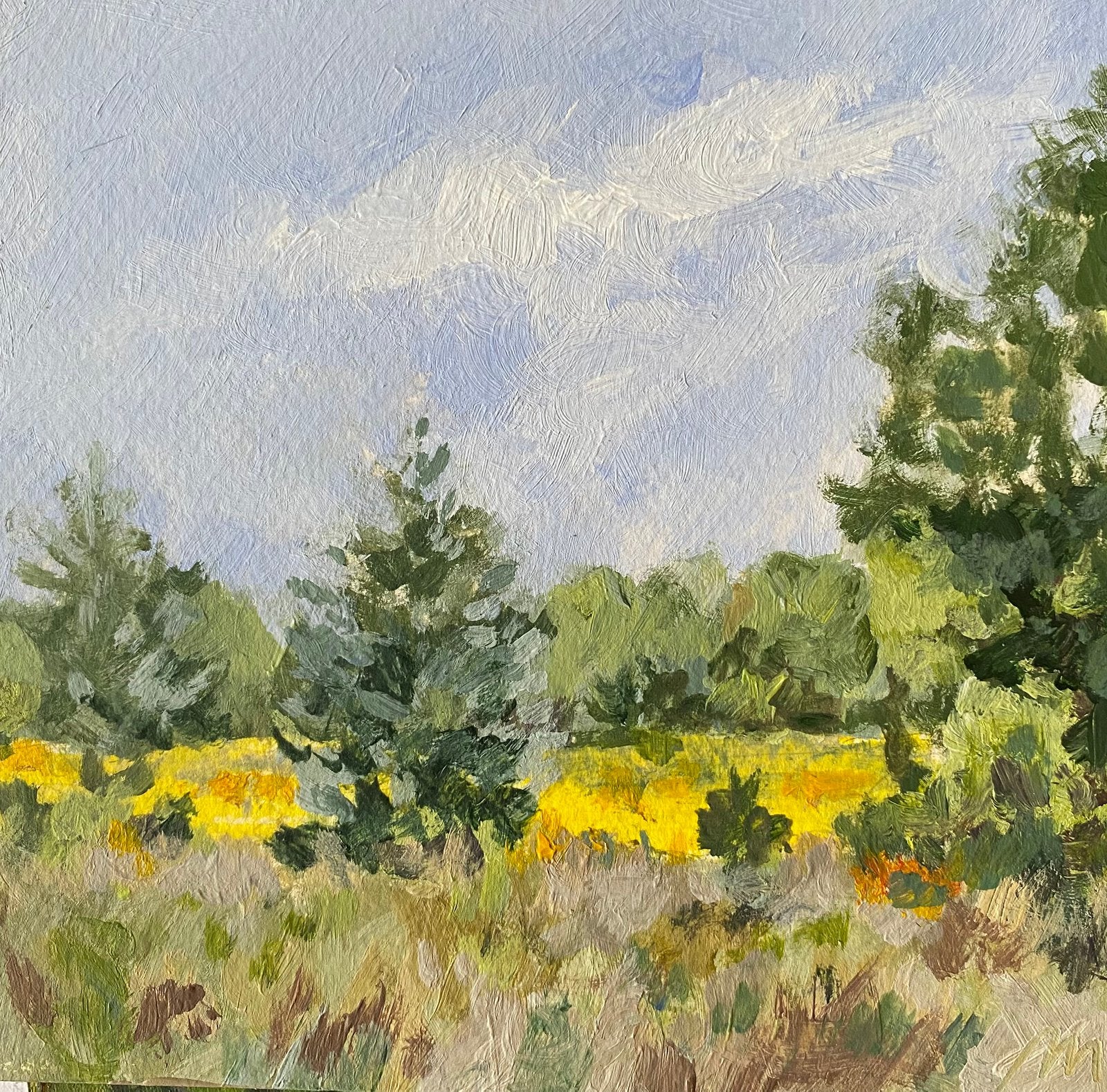 Landschap, Ophalen of Verzenden