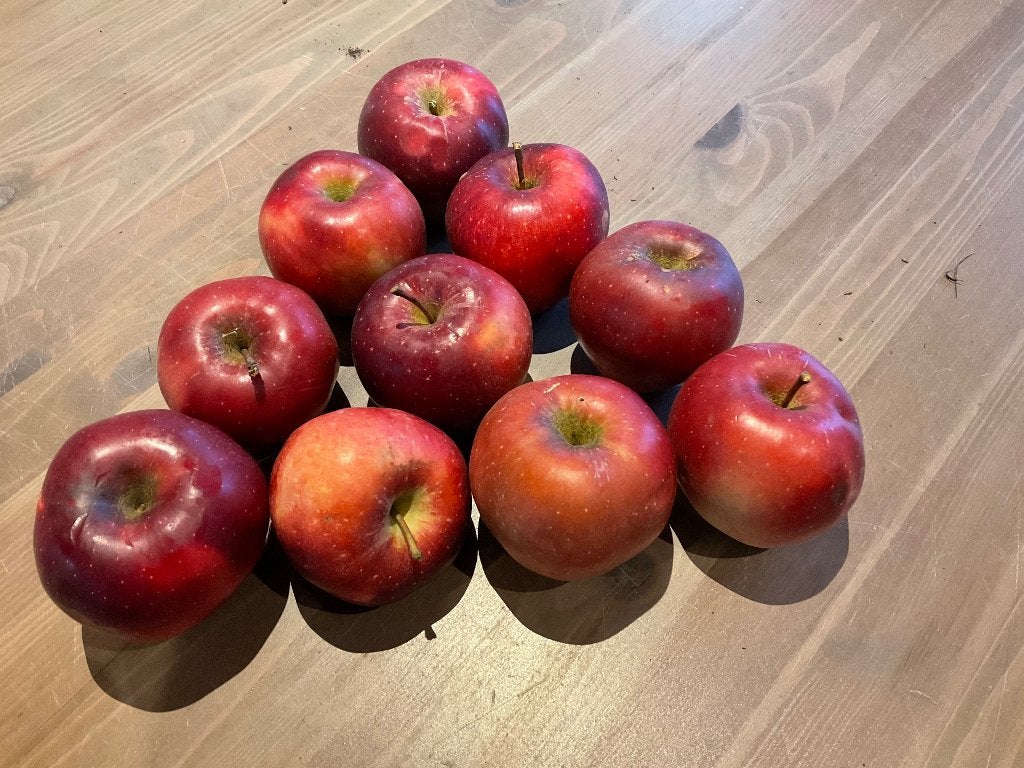 Appels, Gloster, bewaarappel, vanaf 5kg, Ophalen