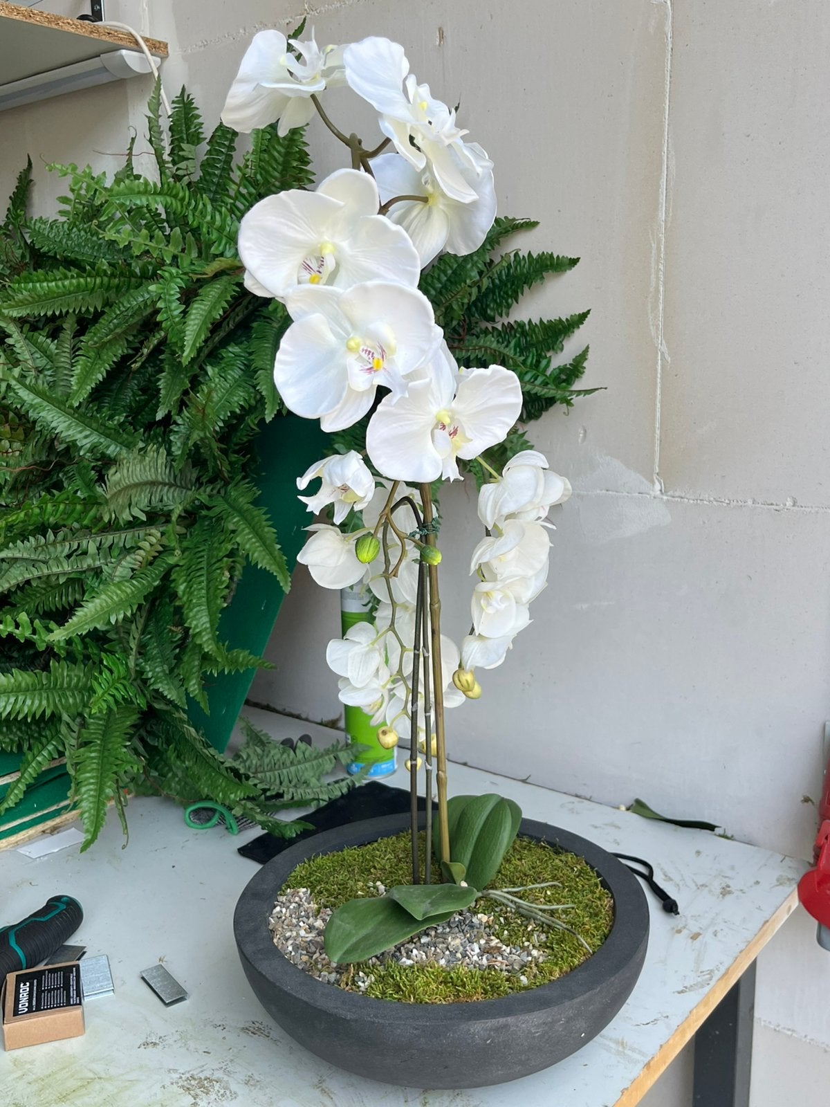 Orchidee in schaal, Ophalen, Zo goed als nieuw