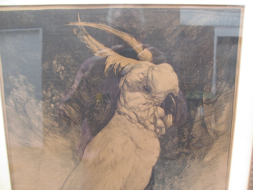 Litho KAKETOE Adriaan van 't Hoff 1923, Ingelijst, Ophalen of Verzenden, Lithografie, Dieren en Natuur