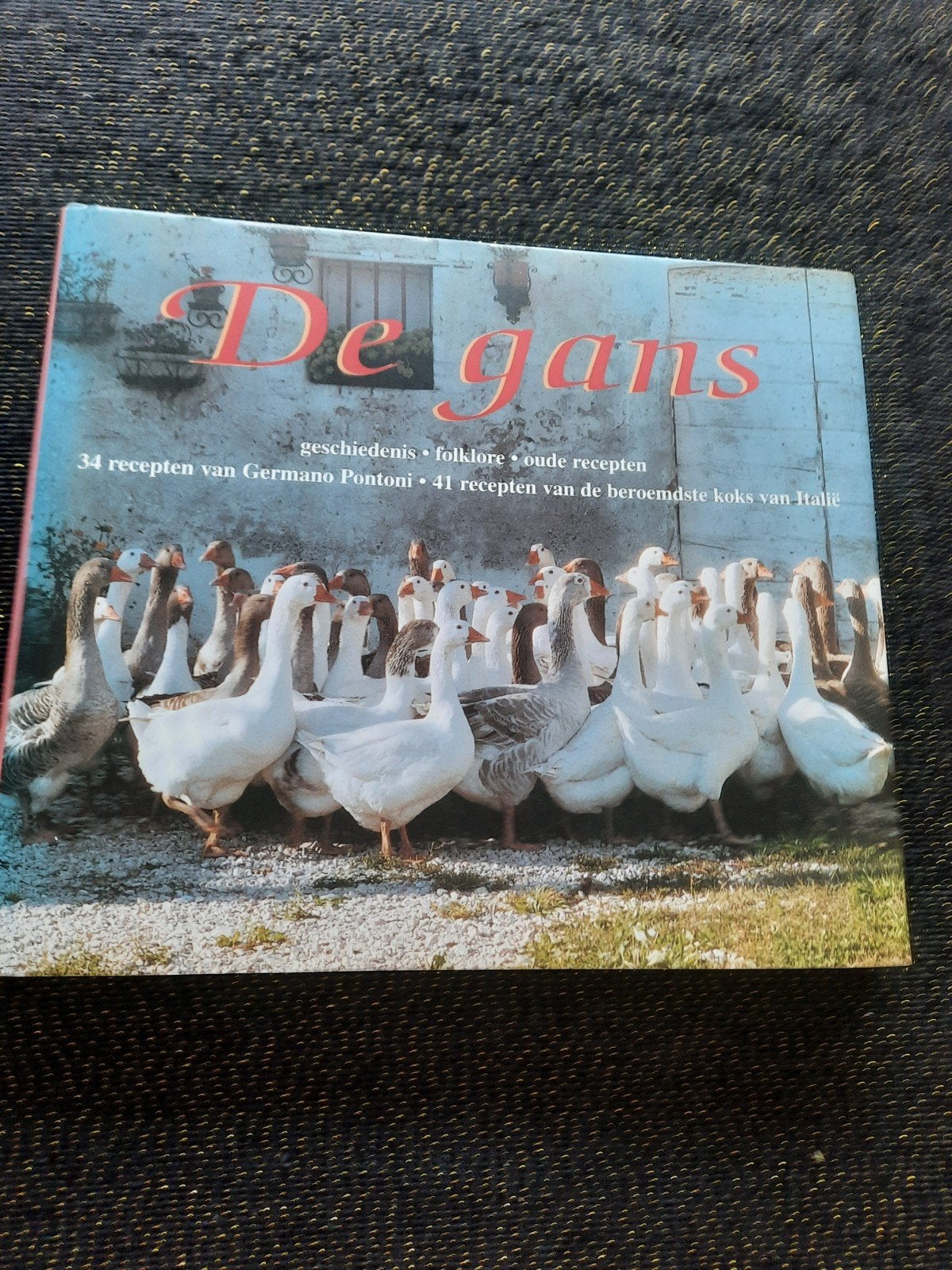 De Gans: Geschiedenis, Folklore & Oude Recepten (Hardcover), Boeken, Kookboeken, Italië, Hoofdgerechten, Ophalen of Verzenden