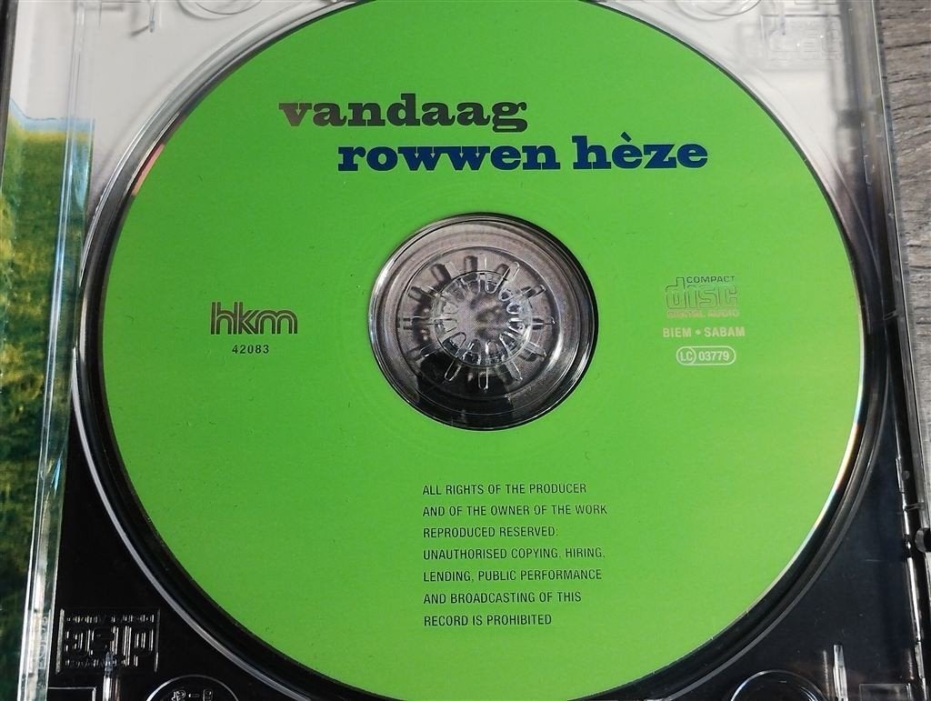 Rowwen Heze - Vandaag, Ophalen of Verzenden, Zo goed als nieuw, Levenslied of Smartlap