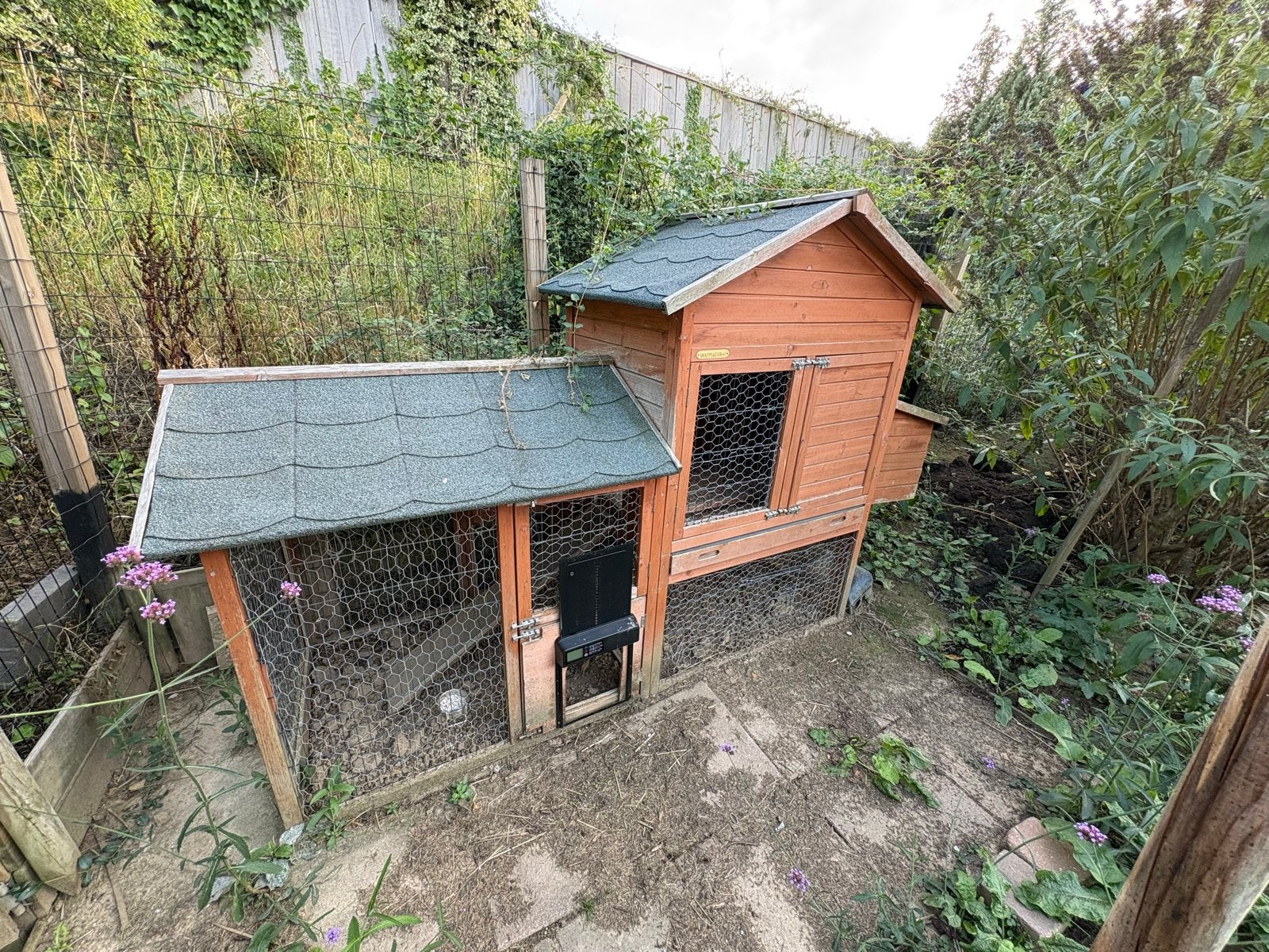 Kippenhok te koop!, Dieren en Toebehoren, Vogels | Hokken en Kooien, Ophalen, Gebruikt, Hout, Overige typen