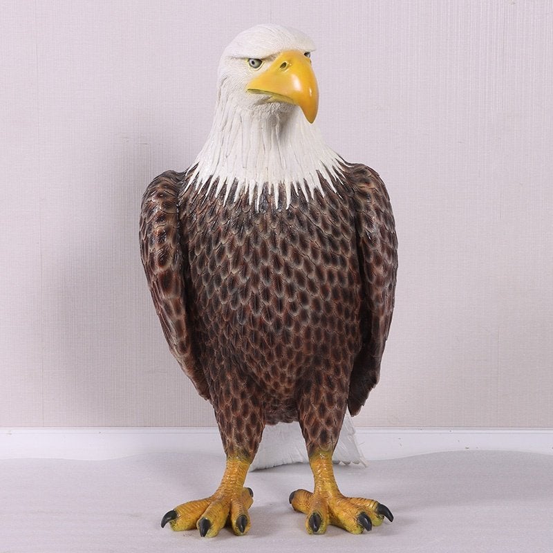 American Bald Eagle beeld – Adelaar, Ophalen, Nieuw, Overige typen