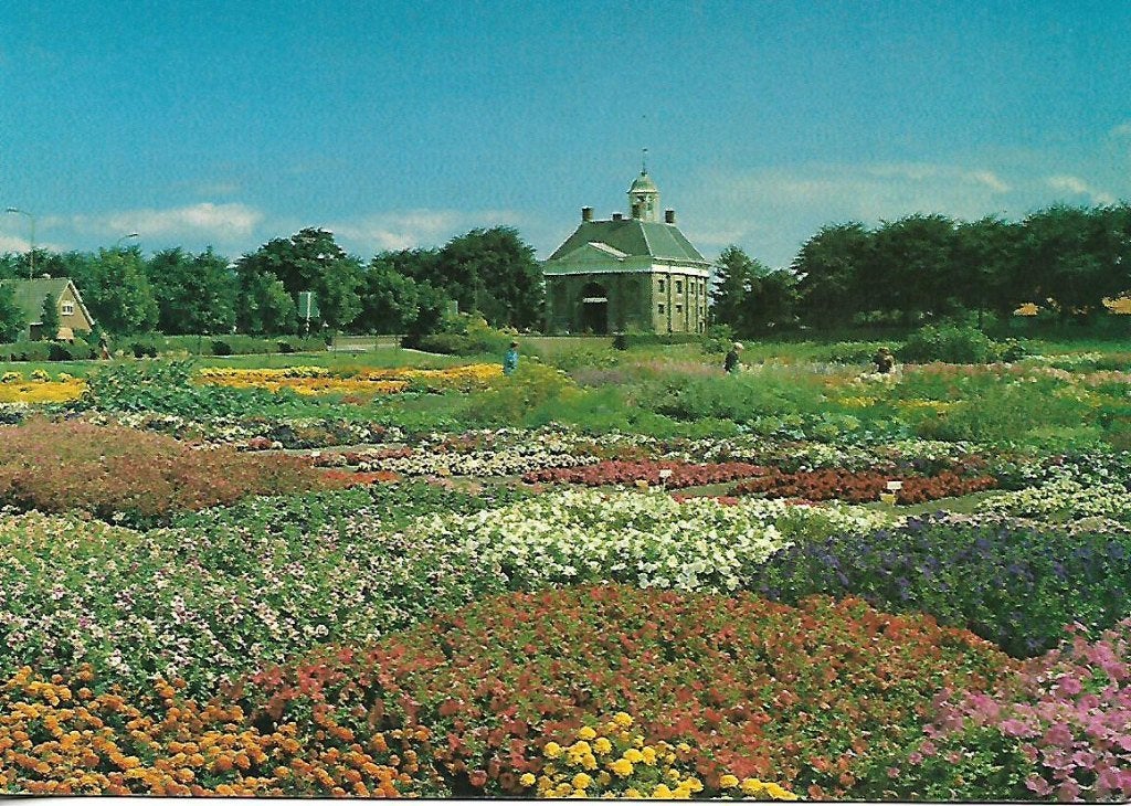 Enkhuizen- -Summergarden., Verzenden, 1980 tot heden, Ongelopen, Noord-Holland