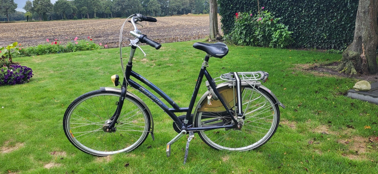 Gazelle Damesfiets - Framehoogte 61 cm, Fietsen en Brommers, Fietsen | Dames | Damesfietsen, Ophalen, Gebruikt, Versnellingen