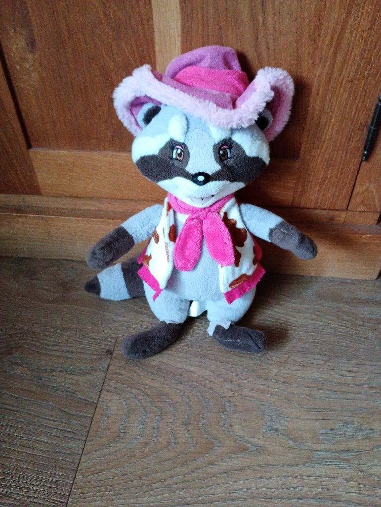 Wasbeer knuffel Rosie uit Slagharen 30cm, Overige merken, Overige karakters, Overige typen, Grijs