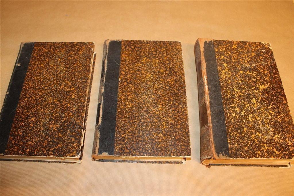 Voordrachten over Geneesmiddelen — Complete Set [1896], Antiek en Kunst, Ophalen of Verzenden