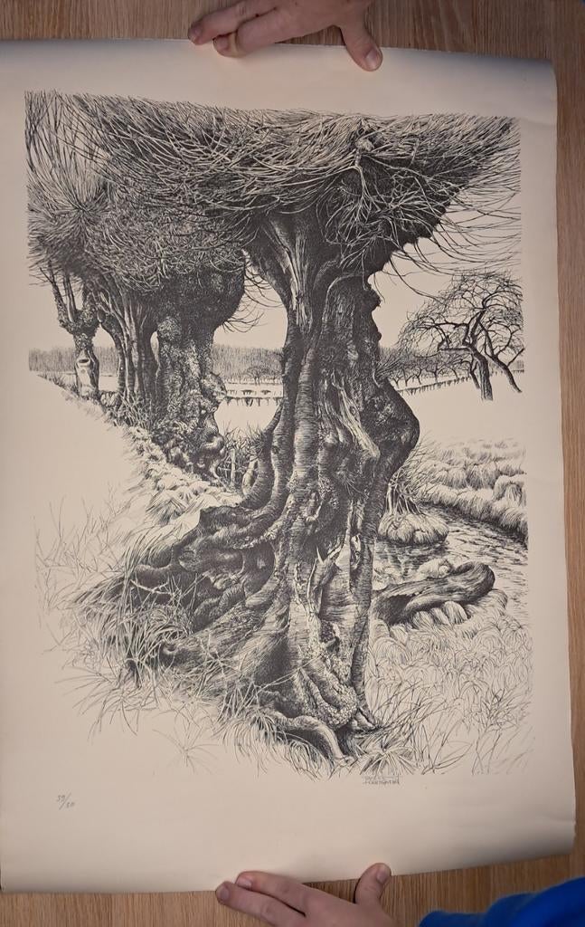 Partick Creyghton - Landschap met bomen (Lithografie), Antiek en Kunst, Kunst | Etsen en Gravures, Ophalen, 1950 - 1999, Gesigneerd