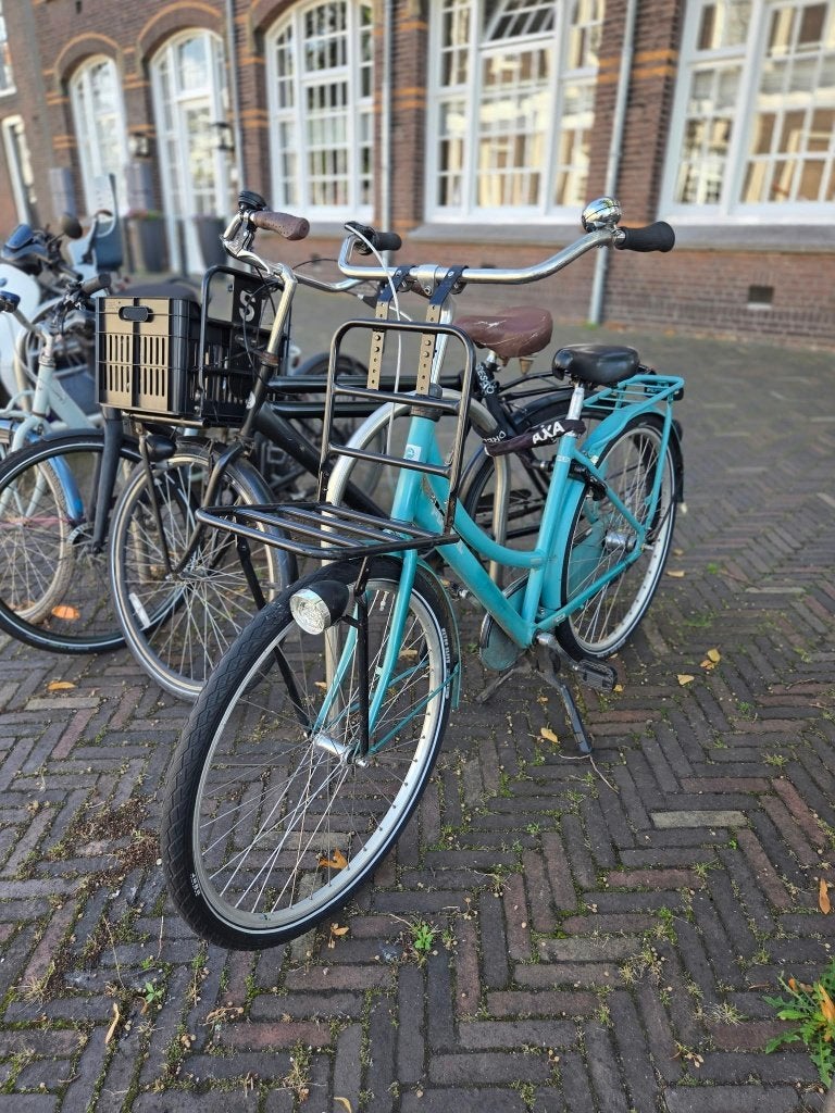 Gazelle dames- / meidenfiets 28 inch - ideaal voor school, Fietsen en Brommers, Terugtraprem, Gebruikt, Versnellingen, Gazelle Puur NL