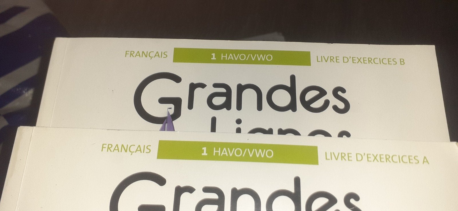 Frans leer- en werkboek Grandes Lignes 1 HAVO/VWO, Boeken, Ophalen of Verzenden, Zo goed als nieuw, Onbekend, Non-fictie