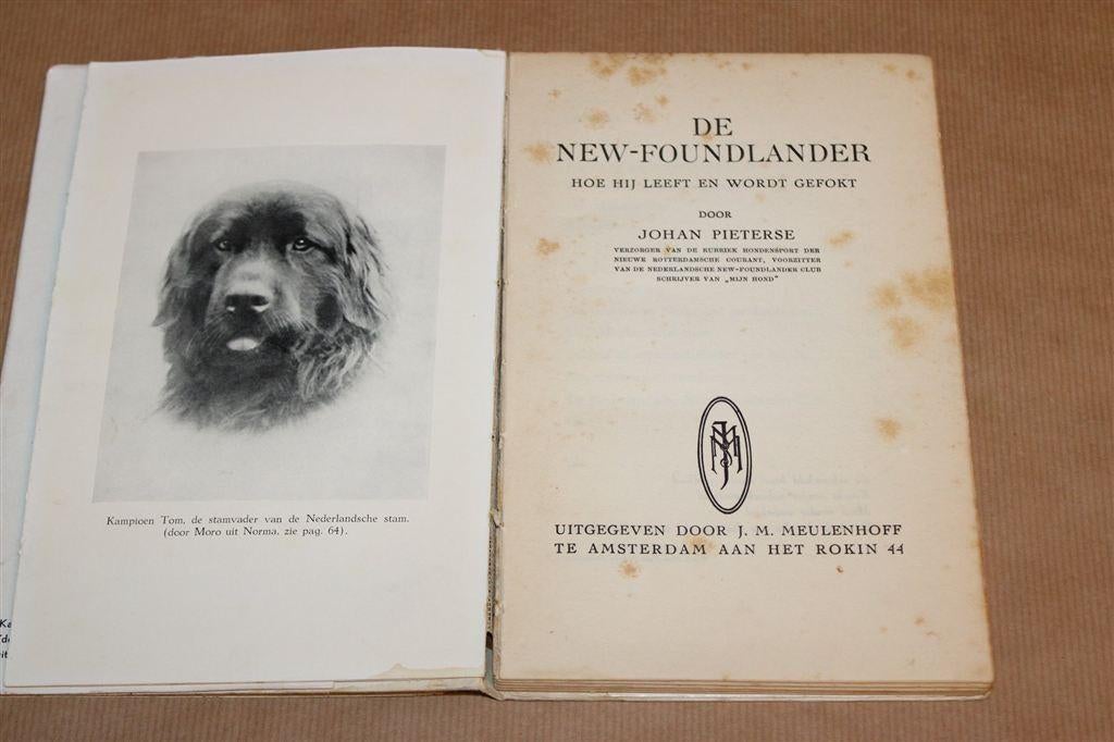 De New-Foundlander — Vintage Boek Zeldzaam [1953], Ophalen of Verzenden, Gelezen, Honden