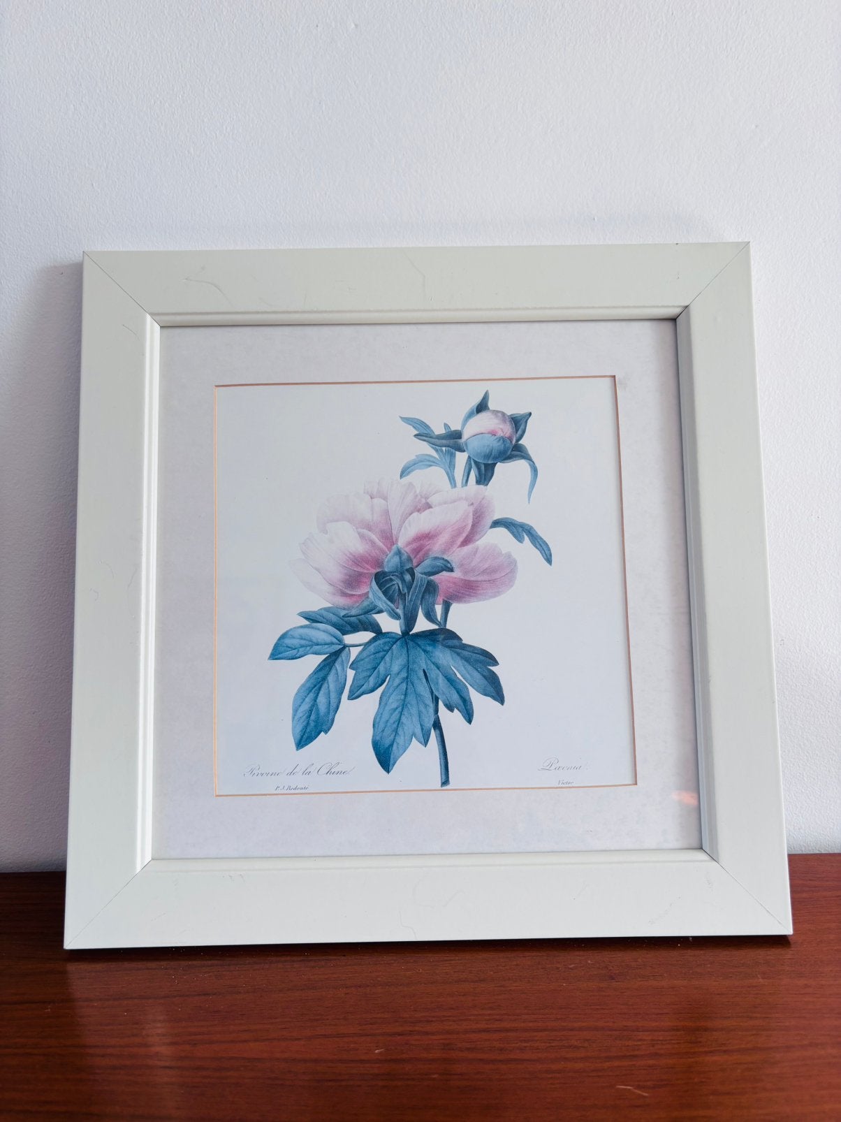 Prachtig vintage schilderij - Redouté "Pivoine de la Chine", Minder dan 50 cm, Ophalen of Verzenden, Zo goed als nieuw, Schilderij