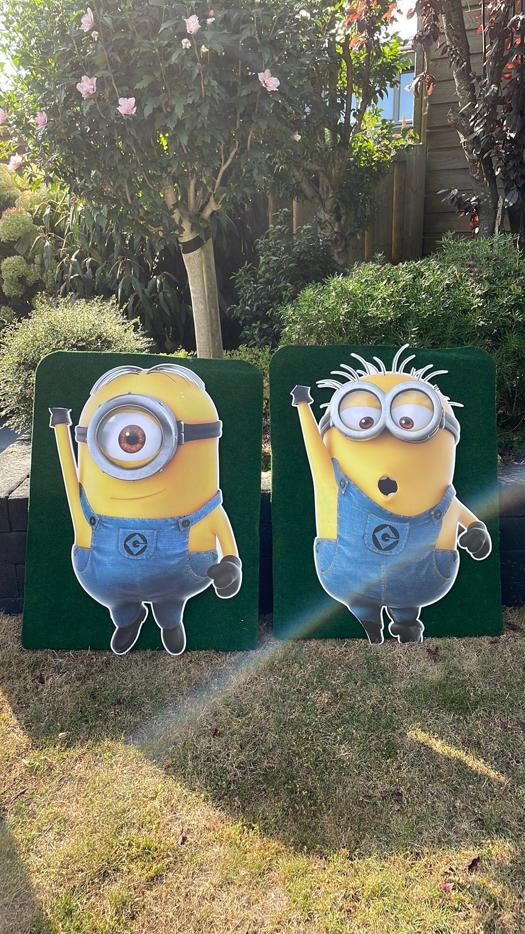Minions decoratie, Ophalen, Film en tv, Gebruikt, Overige typen