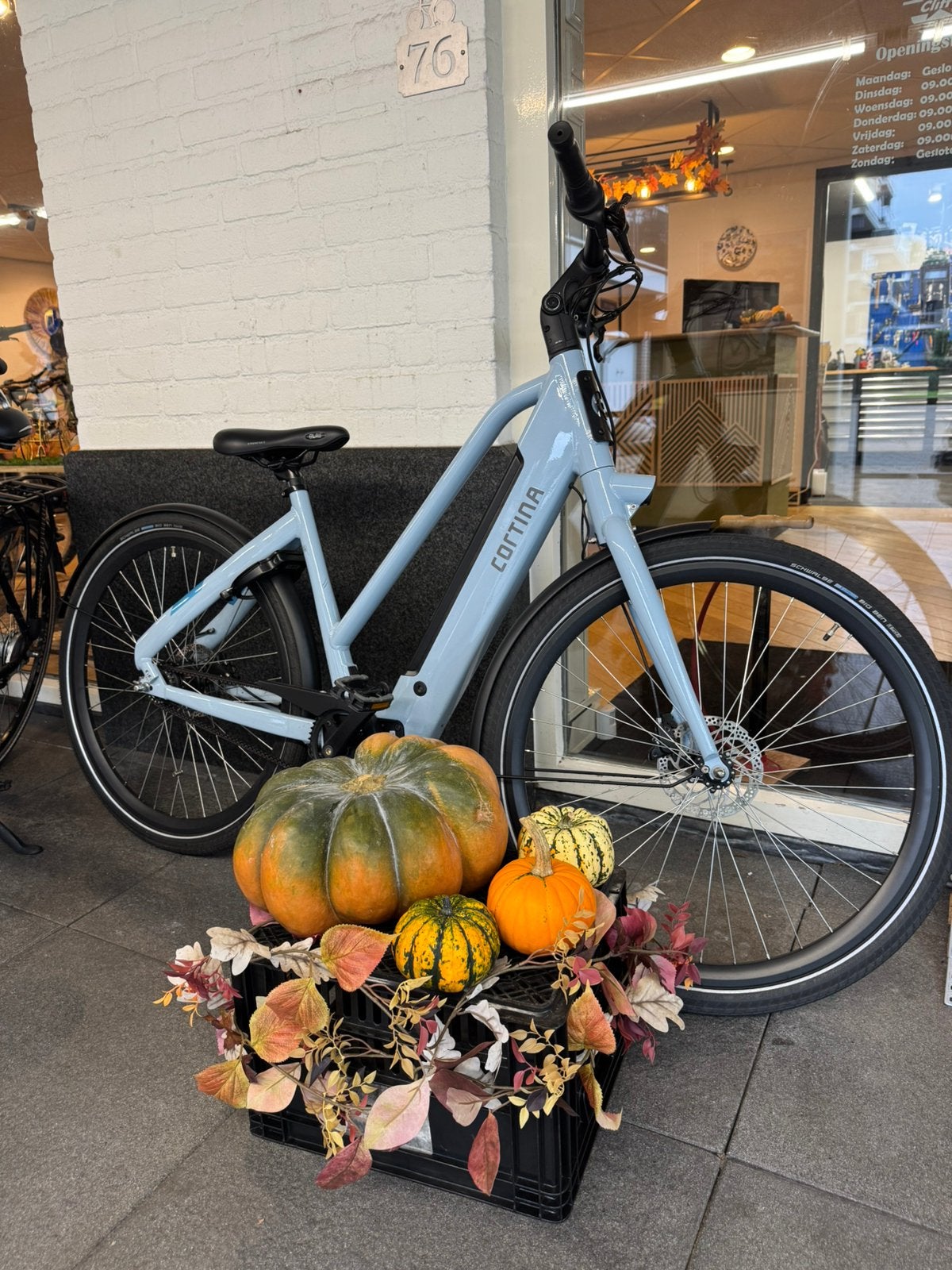 Cortina e-blau e bike fiets D50, Fietsen en Brommers, Overige merken, Minder dan 10 versnellingen, Ophalen of Verzenden, Zo goed als nieuw