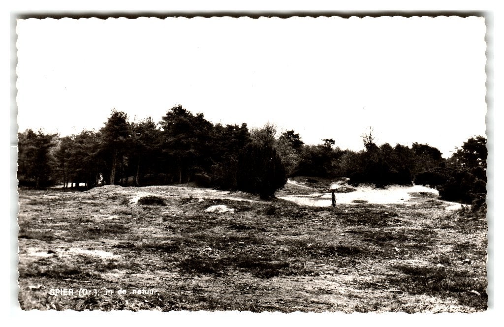 Spier, In de natuur, Verzenden, 1960 tot 1980, Gelopen, Drenthe