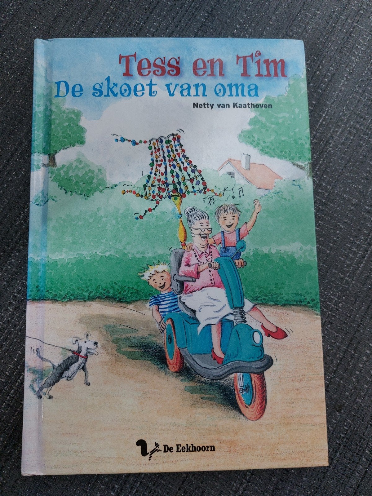 Netty van Kaathoven - De skoet van oma, Boeken, Netty van Kaathoven, Fictie algemeen, Ophalen of Verzenden, Zo goed als nieuw