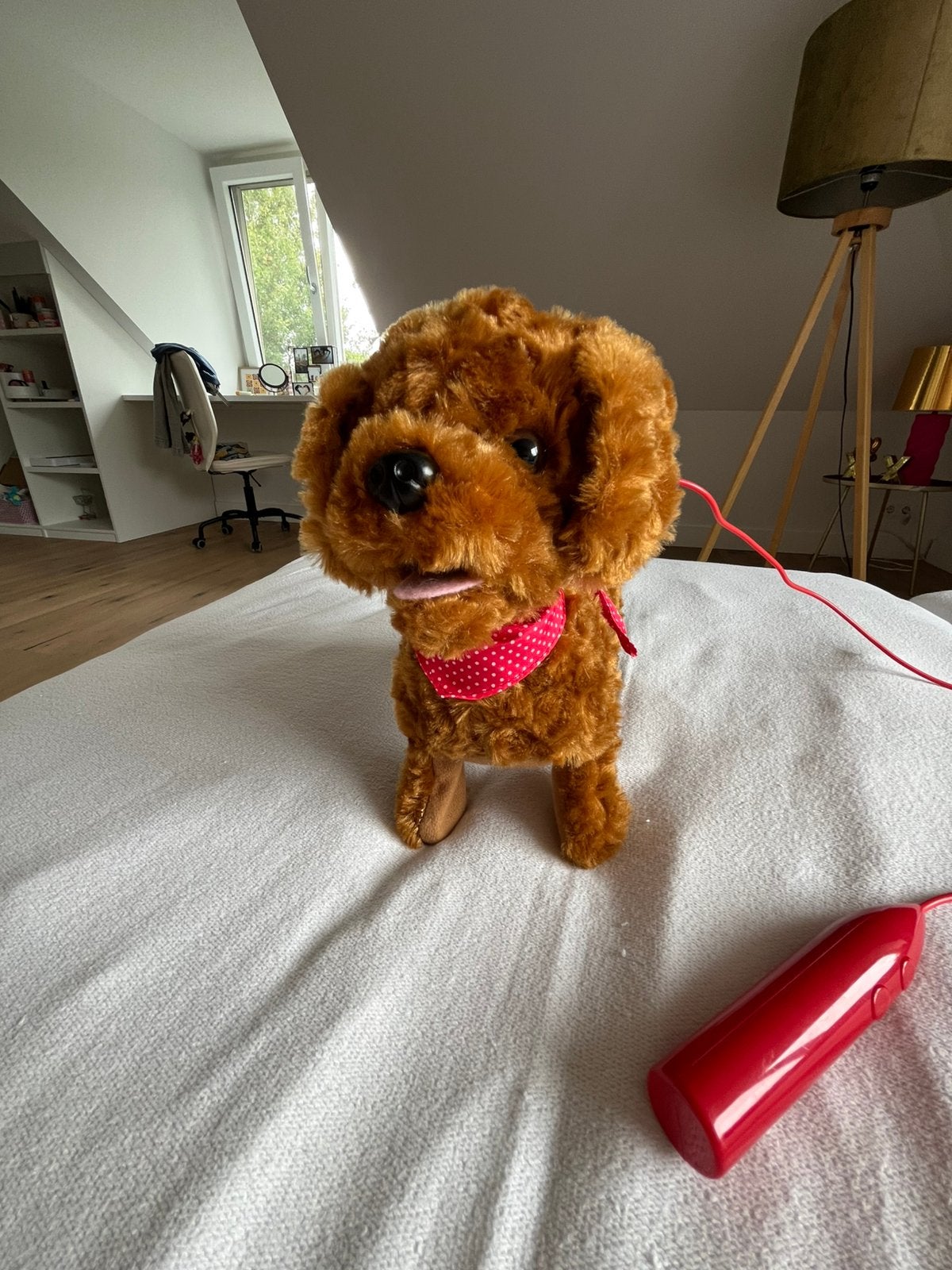 Schattige Coco (kan lopen en blaffen), Ophalen of Verzenden