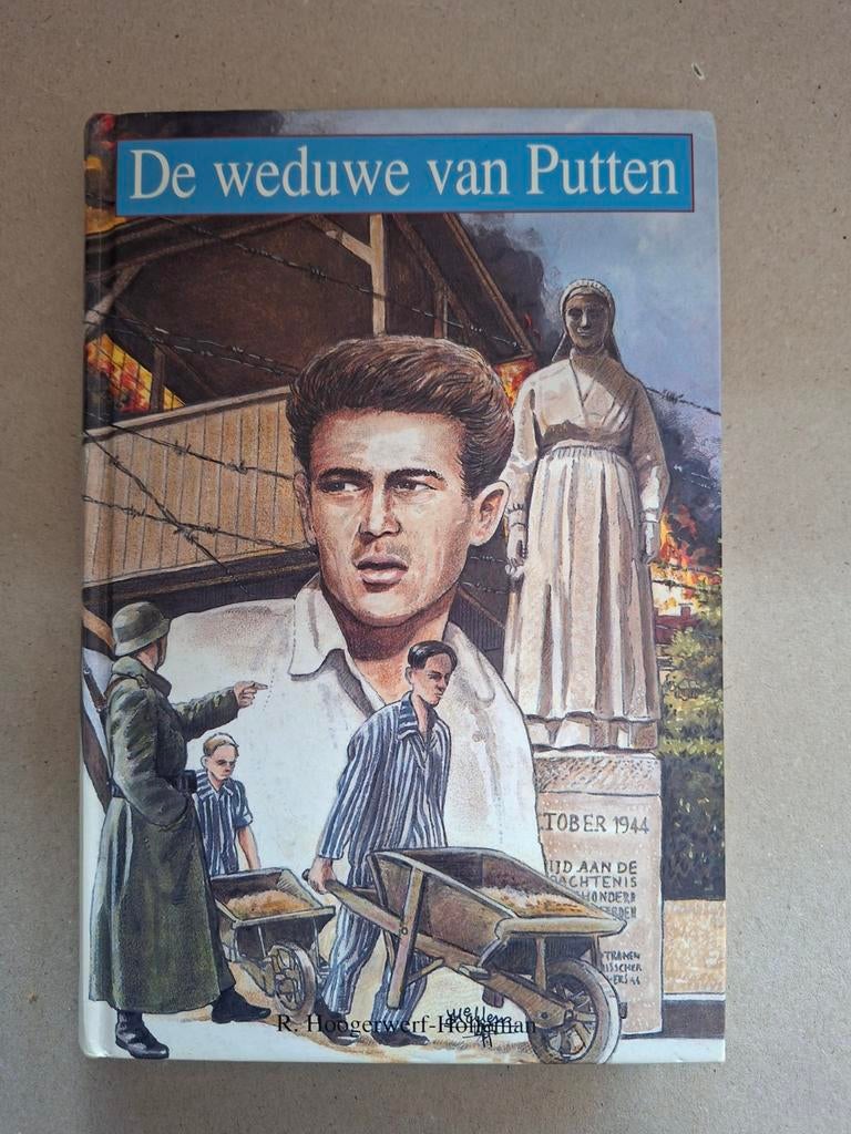 Boek over de Razzia van Putten, Boeken, Gertie Evenhuis, R. Hoogerwerf-Holleman, Ophalen of Verzenden, Overige onderwerpen, Tweede Wereldoorlog