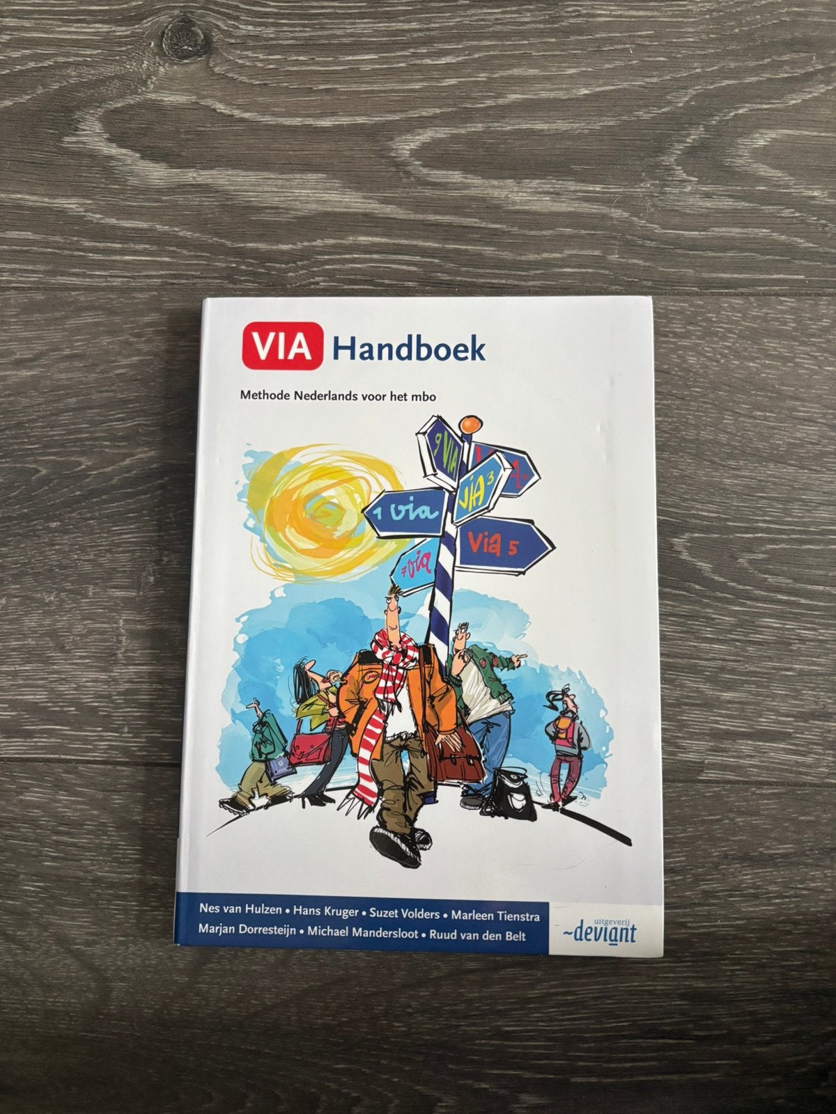Via handboek Nederlands MBO, Ophalen of Verzenden, Zo goed als nieuw, Overige niveaus, Nederlands