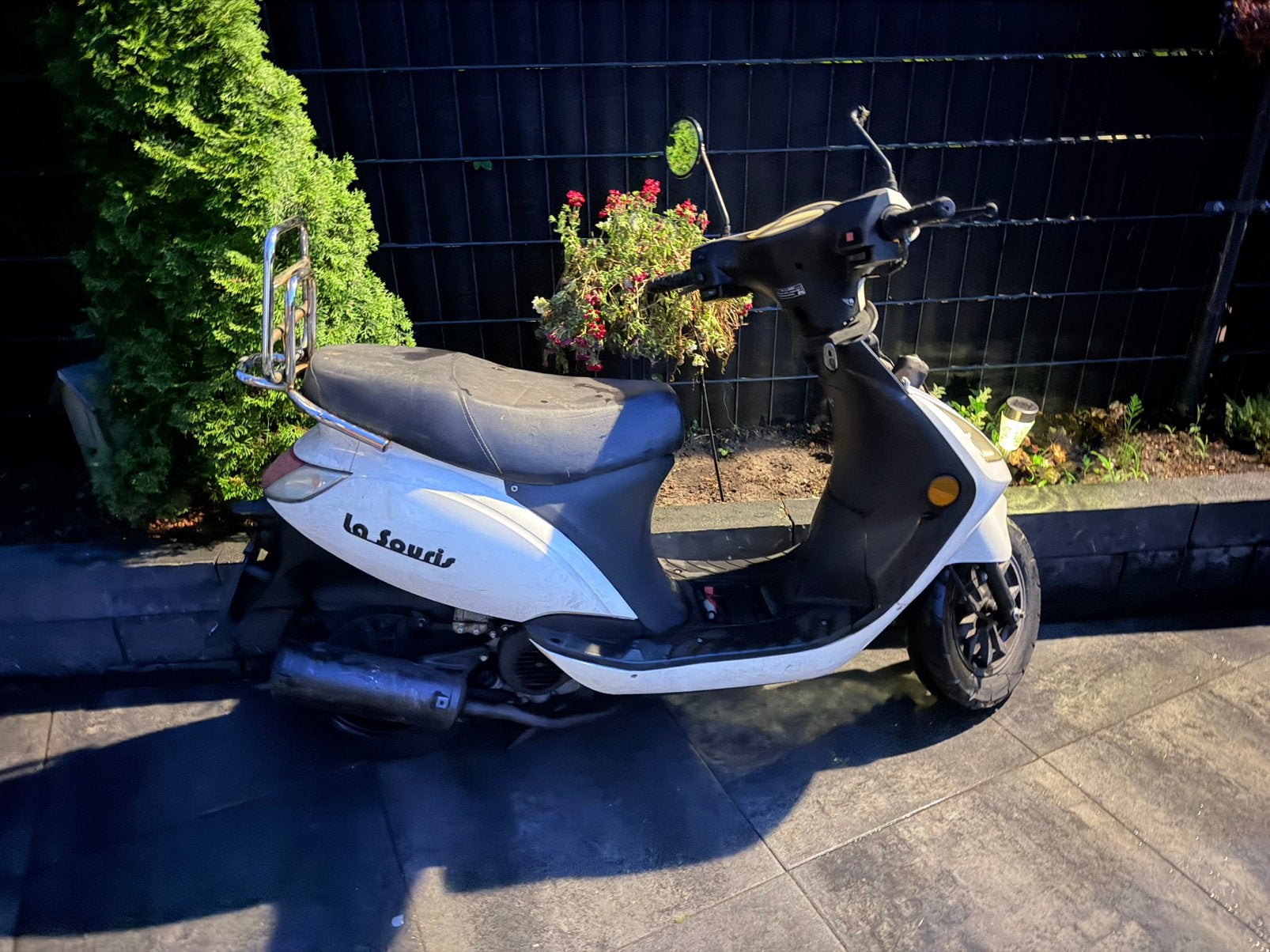 La souris scooter, Ophalen, Zo goed als nieuw, Benzine, Overige merken