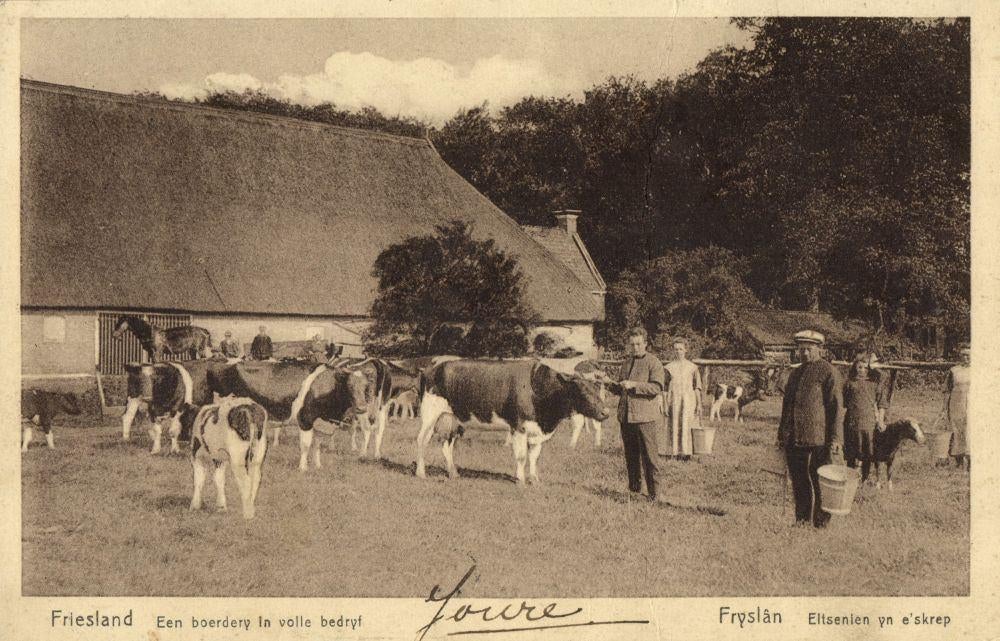JOURE (?) Een Boerderij in volle Bedrijf (1928) Ansichtkaart, Ophalen of Verzenden, 1920 tot 1940, Gelopen, Friesland