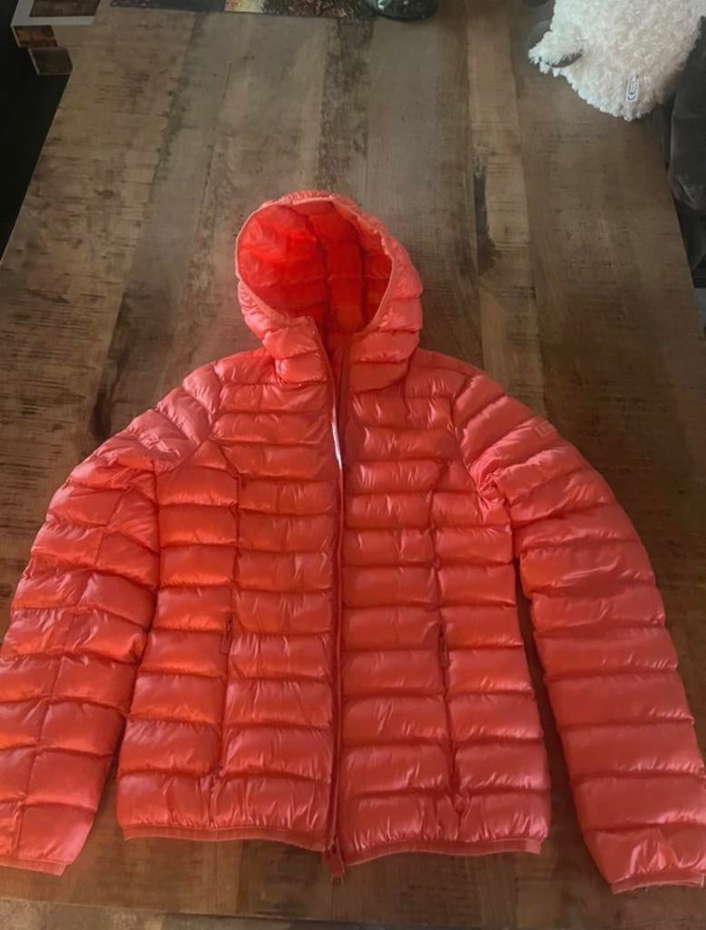 Pikeur zomer jas, Ophalen of Verzenden, Zo goed als nieuw, Maat 34 (XS) of kleiner, Roze